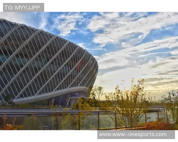 武汉网球队的控制革新探索与实践：重塑竞技格局的全新策略与挑战